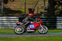 Vintage-motorcycle-club;eventdigitalimages;mallory-park;mallory-park-trackday-photographs;no-limits-trackdays;peter-wileman-photography;trackday-digital-images;trackday-photos;vmcc-festival-1000-bikes-photographs
